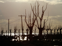 Images show Villa Epecuen, a flooded Argentine tourist town located in the Adolfo Alsina district, Buenos Aires province. (