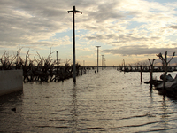 Images show Villa Epecuen, a flooded Argentine tourist town located in the Adolfo Alsina district, Buenos Aires province. (