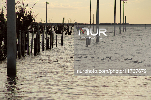 Images show Villa Epecuen, a flooded Argentine tourist town located in the Adolfo Alsina district, Buenos Aires province. 