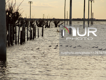 Images show Villa Epecuen, a flooded Argentine tourist town located in the Adolfo Alsina district, Buenos Aires province. (