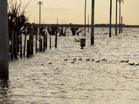 Images show Villa Epecuen, a flooded Argentine tourist town located in the Adolfo Alsina district, Buenos Aires province. (