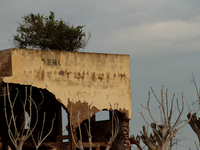 Images show Villa Epecuen, a flooded Argentine tourist town located in the Adolfo Alsina district, Buenos Aires province. (