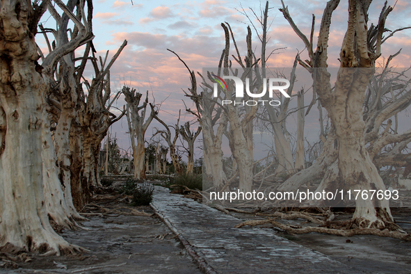 Images show Villa Epecuen, a flooded Argentine tourist town located in the Adolfo Alsina district, Buenos Aires province. 