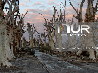 Images show Villa Epecuen, a flooded Argentine tourist town located in the Adolfo Alsina district, Buenos Aires province. (