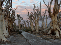 Images show Villa Epecuen, a flooded Argentine tourist town located in the Adolfo Alsina district, Buenos Aires province. (