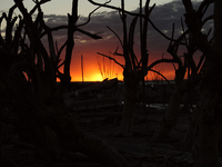 Images show Villa Epecuen, a flooded Argentine tourist town located in the Adolfo Alsina district, Buenos Aires province. (