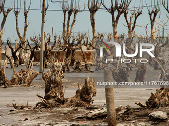 Images show Villa Epecuen, a flooded Argentine tourist town located in the Adolfo Alsina district, Buenos Aires province. (