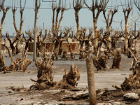 Images show Villa Epecuen, a flooded Argentine tourist town located in the Adolfo Alsina district, Buenos Aires province. (