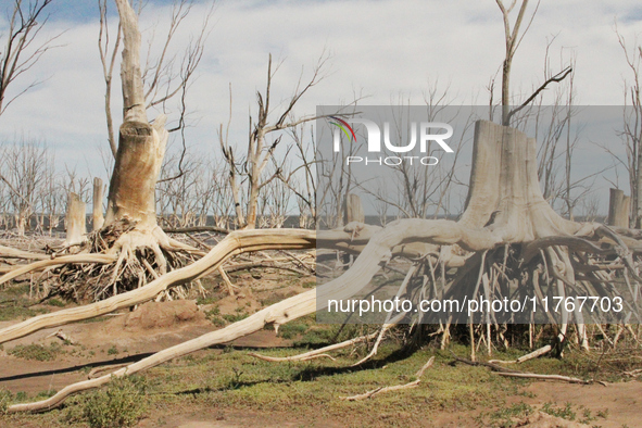 Images show Villa Epecuen, a flooded Argentine tourist town located in the Adolfo Alsina district, Buenos Aires province. 