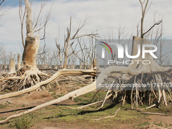 Images show Villa Epecuen, a flooded Argentine tourist town located in the Adolfo Alsina district, Buenos Aires province. (