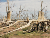 Images show Villa Epecuen, a flooded Argentine tourist town located in the Adolfo Alsina district, Buenos Aires province. (