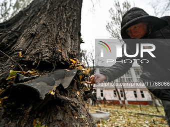 A man examines a fragment stuck in a tree trunk outside the sports complex of the Zaporizhzhia Polytechnic National University, which is dam...