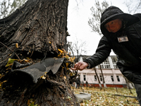 A man examines a fragment stuck in a tree trunk outside the sports complex of the Zaporizhzhia Polytechnic National University, which is dam...