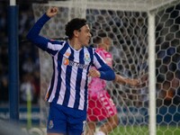 Pepe of FC Porto celebrates during the game against Estoril Praia in the 10th round of the Portuguese Championship 2023/24 at Estadio do Dra...