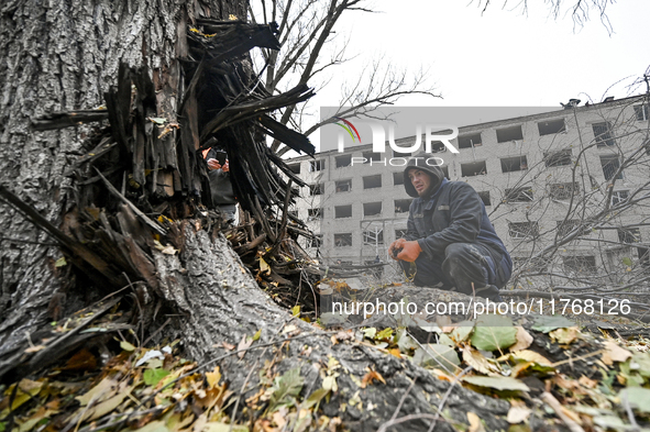 A man looks at a tree trunk outside the sports complex of the Zaporizhzhia Polytechnic National University, which is damaged by an overnight...