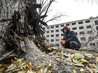 A man looks at a tree trunk outside the sports complex of the Zaporizhzhia Polytechnic National University, which is damaged by an overnight...