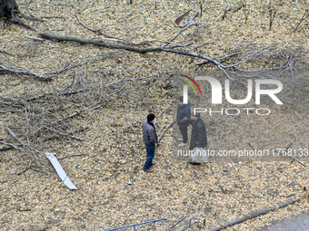 Three men talk among broken tree branches outside a hostel where internally displaced persons live that is damaged by an overnight Russian a...