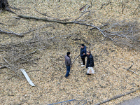 Three men talk among broken tree branches outside a hostel where internally displaced persons live that is damaged by an overnight Russian a...