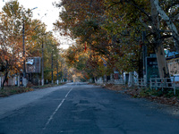 An empty street is in Kherson, Ukraine, on November 7, 2024. NO USE RUSSIA. NO USE BELARUS. (