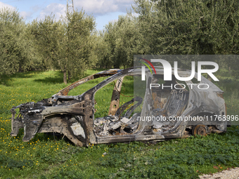 A burnt and abandoned stolen car rests in the rural fields near Cerignola, Italy, on October 4, 2024. The vehicle, stripped of all valuables...