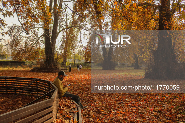 A man sits on a bench under chinar trees at a park in Srinagar, Jammu and Kashmir, on November 12, 2024. Autumn, locally known as Harud, is...