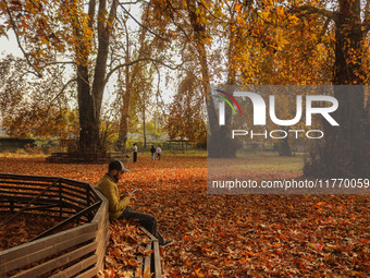 A man sits on a bench under chinar trees at a park in Srinagar, Jammu and Kashmir, on November 12, 2024. Autumn, locally known as Harud, is...