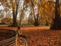 A man sits on a bench under chinar trees at a park in Srinagar, Jammu and Kashmir, on November 12, 2024. Autumn, locally known as Harud, is...