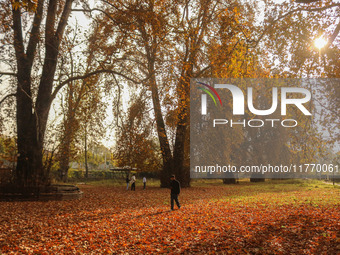 A man walks over fallen Chinar tree leaves at a park during an autumn day in Srinagar, Jammu and Kashmir, on November 12, 2024. Autumn, loca...