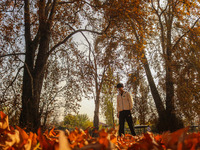 A man walks over fallen Chinar tree leaves at a park during an autumn day in Srinagar, Jammu and Kashmir, on November 12, 2024. Autumn, loca...