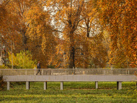 A man walks over a wooden bridge during an autumn day in Srinagar, Jammu and Kashmir, on November 12, 2024. Autumn, locally known as Harud,...