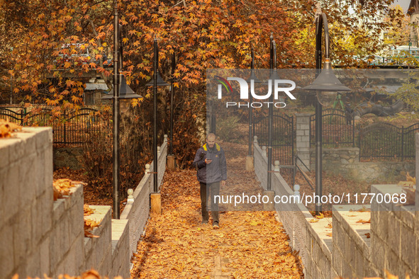 A man walks over a wooden bridge during an autumn day in Srinagar, Jammu and Kashmir, on November 12, 2024. Autumn, locally known as Harud,...