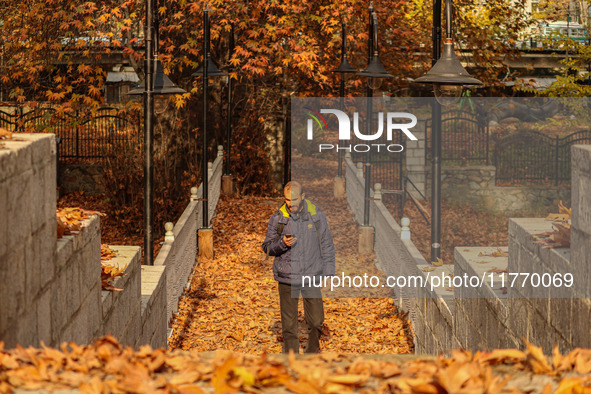 A man walks over a wooden bridge during an autumn day in Srinagar, Jammu and Kashmir, on November 12, 2024. Autumn, locally known as Harud,...