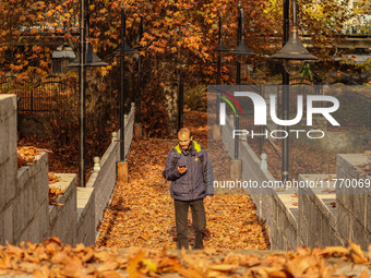 A man walks over a wooden bridge during an autumn day in Srinagar, Jammu and Kashmir, on November 12, 2024. Autumn, locally known as Harud,...