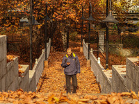 A man walks over a wooden bridge during an autumn day in Srinagar, Jammu and Kashmir, on November 12, 2024. Autumn, locally known as Harud,...