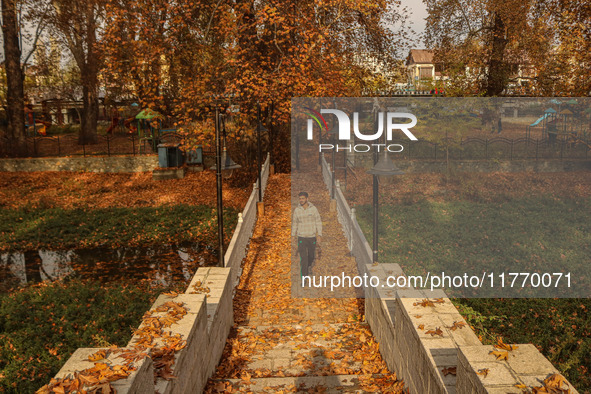 A man walks over a wooden bridge during an autumn day in Srinagar, Jammu and Kashmir, on November 12, 2024. Autumn, locally known as Harud,...