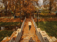 A man walks over a wooden bridge during an autumn day in Srinagar, Jammu and Kashmir, on November 12, 2024. Autumn, locally known as Harud,...