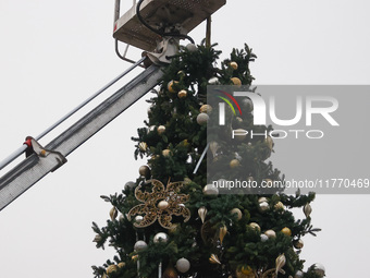 Workers are erecting a Christmas Tree at the Podgorski Square in Krakow, Poland on November 12th, 2024. (