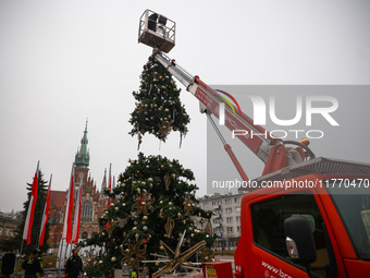 Workers are erecting a Christmas Tree at the Podgorski Square in Krakow, Poland on November 12th, 2024. (