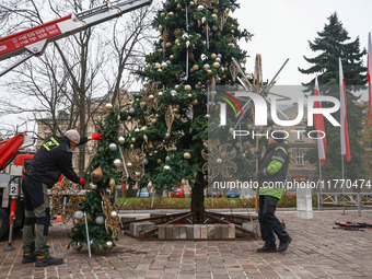 Workers are erecting a Christmas Tree at the Podgorski Square in Krakow, Poland on November 12th, 2024. (