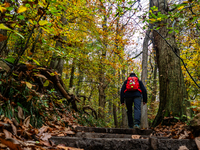 People enjoy outdoor activities in nature to combat the relative absence of sun and light, also known as 'Dutch weather', in Nijmegen, Nethe...