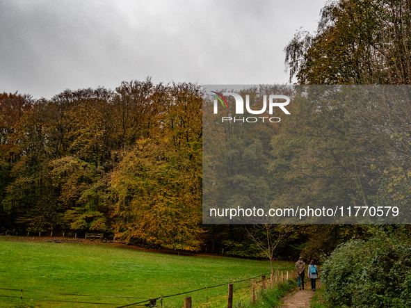 People enjoy outdoor activities in nature to combat the relative absence of sun and light, also known as 'Dutch weather', in Nijmegen, Nethe...