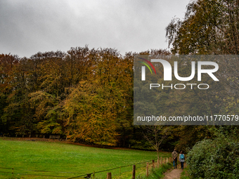 People enjoy outdoor activities in nature to combat the relative absence of sun and light, also known as 'Dutch weather', in Nijmegen, Nethe...