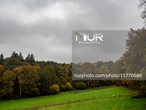 People enjoy outdoor activities in nature to combat the relative absence of sun and light, also known as 'Dutch weather', in Nijmegen, Nethe...