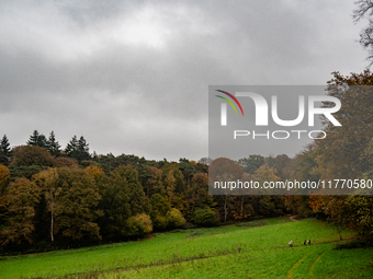 People enjoy outdoor activities in nature to combat the relative absence of sun and light, also known as 'Dutch weather', in Nijmegen, Nethe...