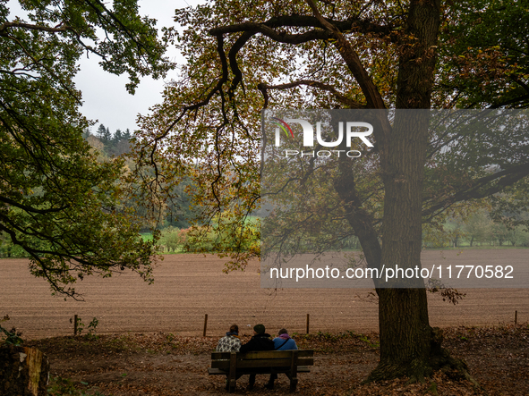 People enjoy outdoor activities in nature to combat the relative absence of sun and light, also known as 'Dutch weather', in Nijmegen, Nethe...