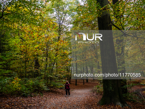 People enjoy outdoor activities in nature to combat the relative absence of sun and light, also known as 'Dutch weather', in Nijmegen, Nethe...