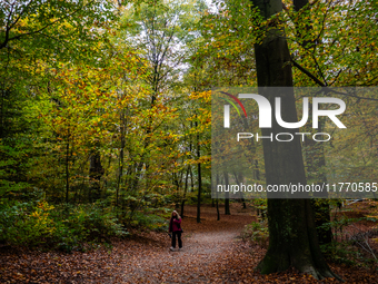 People enjoy outdoor activities in nature to combat the relative absence of sun and light, also known as 'Dutch weather', in Nijmegen, Nethe...