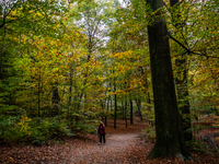 People enjoy outdoor activities in nature to combat the relative absence of sun and light, also known as 'Dutch weather', in Nijmegen, Nethe...