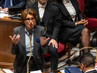 Annie Genevard, Minister of Agriculture, speaks during question time in the French Parliament in Paris, France, on November 12, 2024. (