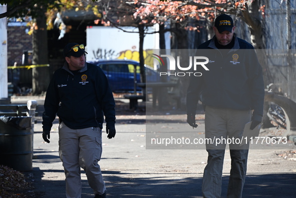 A 21-year-old man is fatally stabbed at Steuben Park in Brooklyn, New York, United States, on November 12, 2024. At approximately 8:45 a.m....